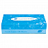 Boxed Facial Tissue, 2-Ply, White, 100 Sheets/Box, 30 Boxes/Carton (FACIAL30100)