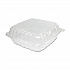 ClearSeal Hinged-Lid Plastic Containers, 9.3 x 8.8 x 3, Clear, Plastic, 100/Bag, 2 Bags/Carton (C95PST1)