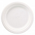 Classic Paper Plates, 6.75