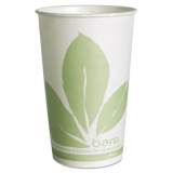 SOLO Cup Company Bare Eco-Forward Treated Paper Cold Cups, 16 oz, Green/White, 100/Sleeve 10 Sleeves/Carton (RW16BBD110CT)