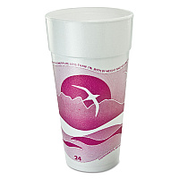Horizon Hot/Cold Foam Drinking Cups, 24 oz, Mauve, 20/Bag, 25 Bags/Carton (24J16H)