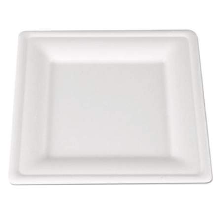 SCT Champware Molded Fiber Tableware, Square, 8 X 8, White, 500 Per Carton (18630)