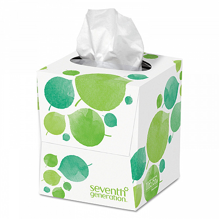 100% Recycled Facial Tissue, 2-Ply, White, 85 Sheets/Box (13719EA)