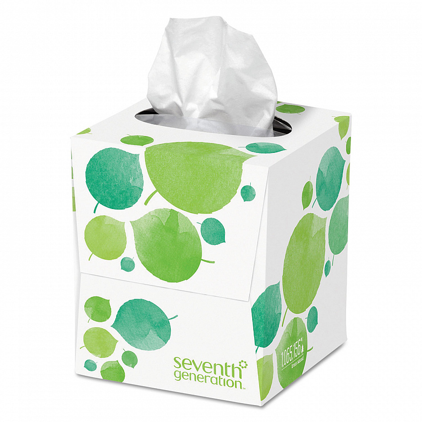 100% Recycled Facial Tissue, 2-Ply, White, 85 Sheets/Box (13719EA)