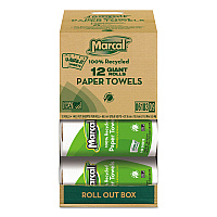 100% Premium Recycled Kitchen Roll Towels, Roll Out Box, 2 Ply, 11 x 5.5, White, 140 Sheets, 12 Rolls/Carton (6183)