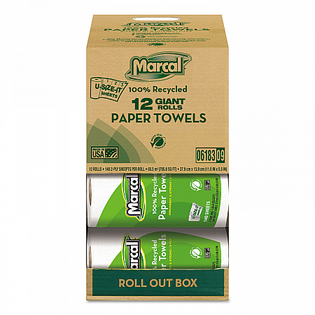100% Premium Recycled Kitchen Roll Towels, Roll Out Box, 2 Ply, 11 x 5.5, White, 140 Sheets, 12 Rolls/Carton (6183)