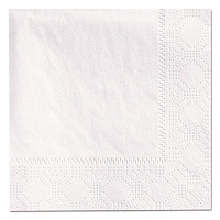 Embossed Beverage Napkins, 2-Ply, 9.5 x 9.5, White, 3,000/Carton (180330)