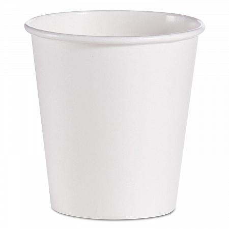 Single-Sided Poly Paper Hot Cups, 10 oz, White, 1,000/Carton (510W)