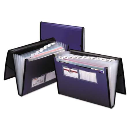 Pendaflex Professional Expanding Organizer, 7 Sections, Letter Size, Blue (52670)