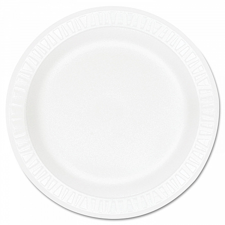 Concorde Foam Plate, 9