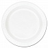 Concorde Foam Plate, 9