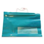 FireKing Prescription Organizing Bags for Medical Cabinet, 14" x 15", Blue, 50/Pack (517980)