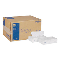 Advanced Facial Tissue, Flat Box, 2-Ply, White, 100 Sheets/Box, 30 Boxes/Carton (TF6810)