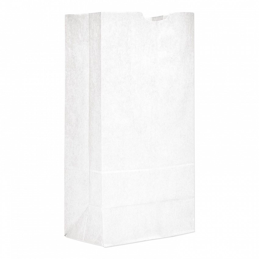 Grocery Paper Bags, 20# Size, 40# Basis Weight, 8.25" x 5.25" x 16.13", White, 500/Bundle (GW20500)
