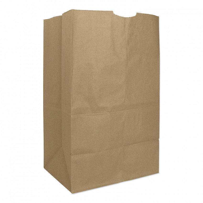 Grocery Paper Bags, 20# Squat Size, Heavy-Duty, 50# Basis Weight, 8.13" x 5.88" x 12.5", Kraft, 500/Bundle (GH20S)