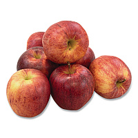 Fresh Gala Apples, 8/Carton (90000032)