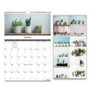 Blueline 12-Month Wall Calendar, Succulent Plants Photography, 12 x 17, White/Multicolor Sheets, 12-Month (Jan to Dec): 2022 (C173121)