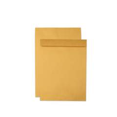 Quality Park Jumbo Size Kraft Envelope, Fold Flap Closure, 17 x 22, Brown Kraft, 25/Pack (42356)