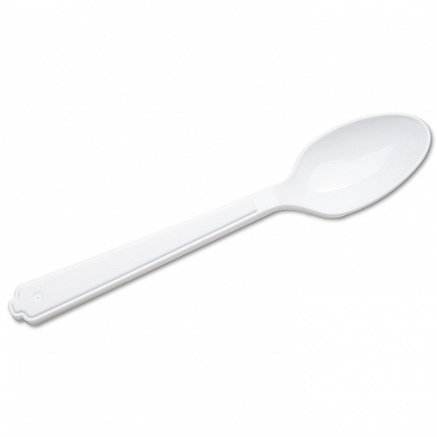 7340000221317, SKILCRAFT Plastic Flatware, Type III, Spoon, White, 100/Pack (0221317)