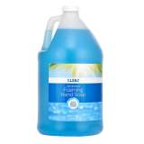Alpine CLENZ Antibacterial Foaming Hand Soap, Blue Breeze Scent, 1 gal Bottle (ALPC7)
