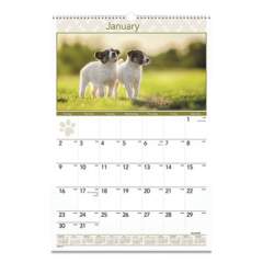 AT-A-GLANCE Puppies Monthly Wall Calendar, Puppies Photography, 15.5 x 22.75, White/Multicolor Sheets, 12-Month (Jan to Dec): 2022 (DMW16728)