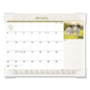 AT-A-GLANCE Puppies Monthly Desk Pad Calendar, Puppies Photography, 22 x 17, White Sheets, Clear Corners, 12-Month (Jan to Dec): 2022 (DMD16632)