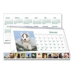 House of Doolittle Earthscapes Recycled Desk Tent Monthly Calendar, Puppies Photography, 8.5 x 4.5, White/Multicolor Sheets, 2022 (3659)