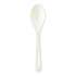 World Centric TPLA Compostable Cutlery, Spoon, 6", White, 1,000/Carton (SPPS6)