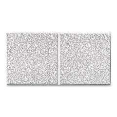 Armstrong Cortega Second Look Ceiling Tiles, Directional, Angled Tegular (0.94"), 24" x 48" x 0.75", White, 10/Carton (24365383)