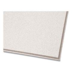 Armstrong Dune Second Look Ceiling Tiles, Directional, Angled Tegular (0.56"), 24" x 48" x 0.75", White, 10/Carton (24365417)