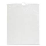 Fourgals Deposit Bags, Polyethylene, 12 x 15, Clear, 1,000/Carton (GAL12X15DS)