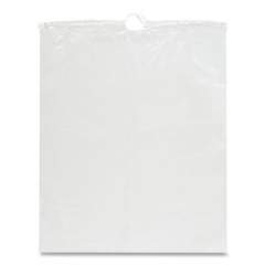 Fourgals Deposit Bags, Polyethylene, 12 x 15, Clear, 1,000/Carton (GAL12X15DS)
