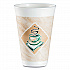 Cafe G Foam Hot/Cold Cups, 16 oz, Brown/Green/White, 1,000/Carton (16X16G167318)
