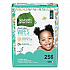 Free and Clear Baby Wipes, Refill, 7 x 7, Unscented, White, 256/Pack (34219)