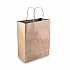Premium Shopping Bag, Rope Handles, 8
