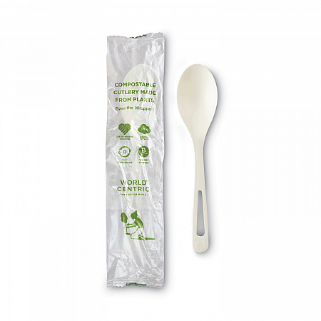 TPLA Wrapped Cutlery, Spoon, Plastic, Light Beige, 750/Carton (SPPSI)
