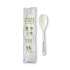 World Centric TPLA Compostable Cutlery, Spoon, 6", White, 750/Carton (SPPSI)