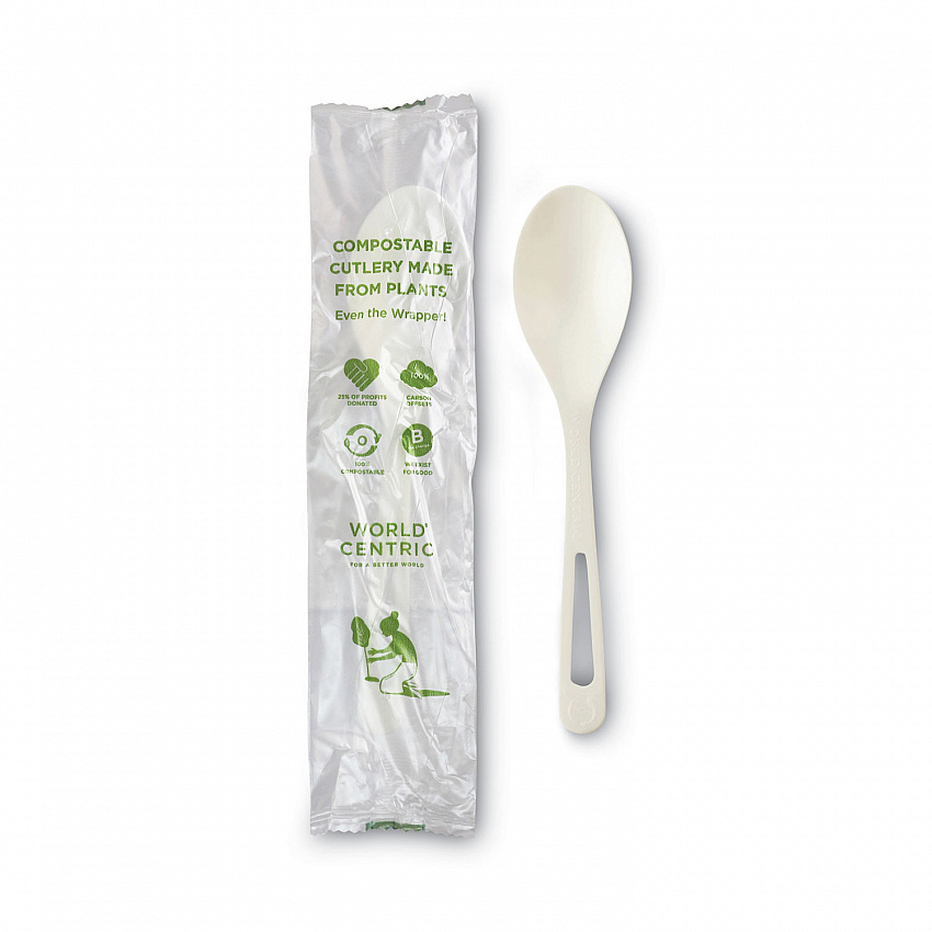 TPLA Wrapped Cutlery, Spoon, Plastic, Light Beige, 750/Carton (SPPSI)
