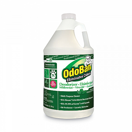 Concentrated Odor Eliminator, Eucalyptus, 1 gal Bottle, 4/Carton (911062G4)