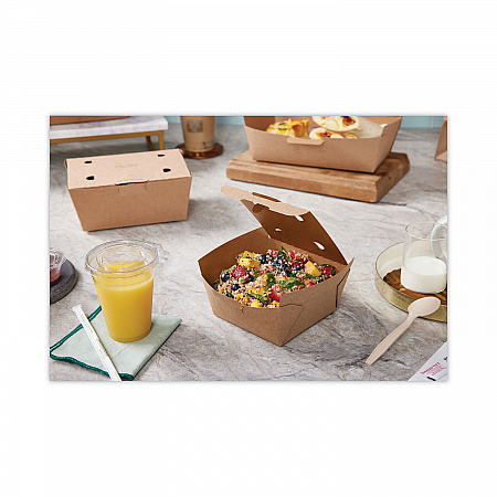 EarthChoice Tamper Evident OneBox Paper Box, 5.4 x 5.4 x 2.5, Brown, 312/Carton (NOB01KECTE)