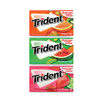 Sugar-Free Gum, Fruit Variety, 14 Pieces/Pack, 20 Packs/Carton (22000891)