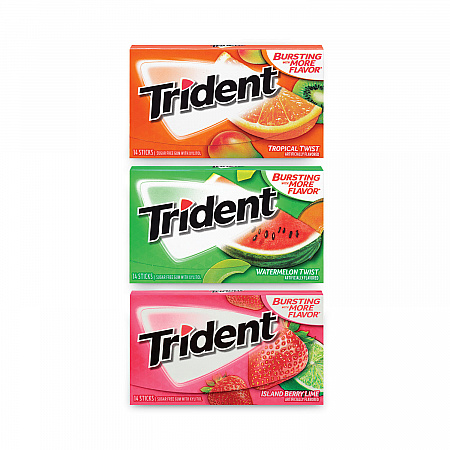 Sugar-Free Gum, Fruit Variety, 14 Pieces/Pack, 20 Packs/Carton (22000891)