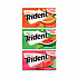 Sugar-Free Gum, Fruit Variety, 14 Pieces/Pack, 20 Packs/Carton (22000891)
