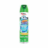 Disinfectant Restroom Cleaner II, Rain Shower Scent, 25 oz Aerosol Spray (313358EA)