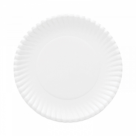 Original Heavyweights Paper Plates, 9