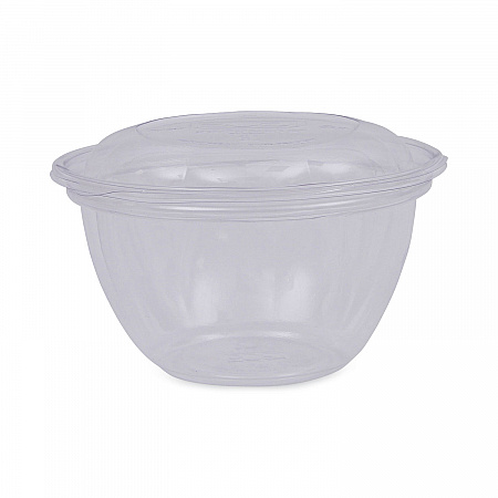 Renewable and Compostable Containers, 18 oz, 5.5