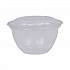Renewable and Compostable Containers, 18 oz, 5.5