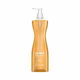 Dish Soap, Clementine Scent, 18 oz Pump Bottle (00735)