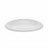 Placesetter Satin Non-Laminated Foam Dinnerware, Plate, 6