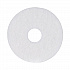 Polishing Floor Pads, 13